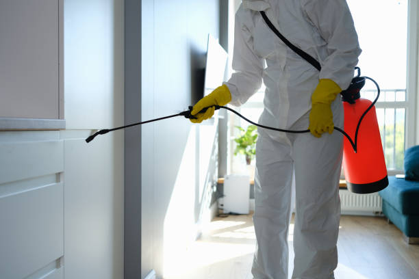 Mold Remediation for Vacation Homes in Lake Junaluska, NC